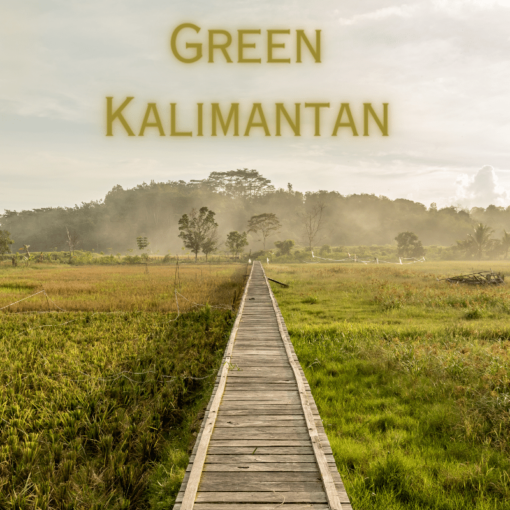 Green Kalimantan