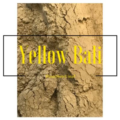 Yellow Bali