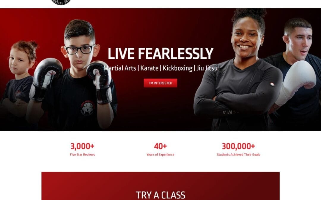 Tiger Schulmann’s Martial Arts